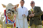 Bucks County Show